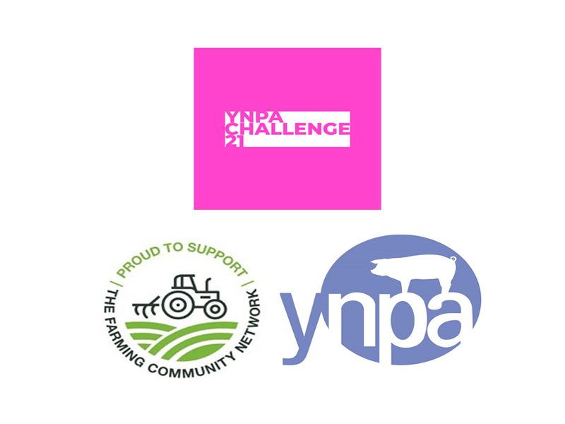 YNPA challenge logos